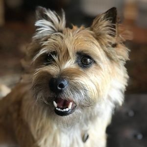 Meet your Posher, Jackie